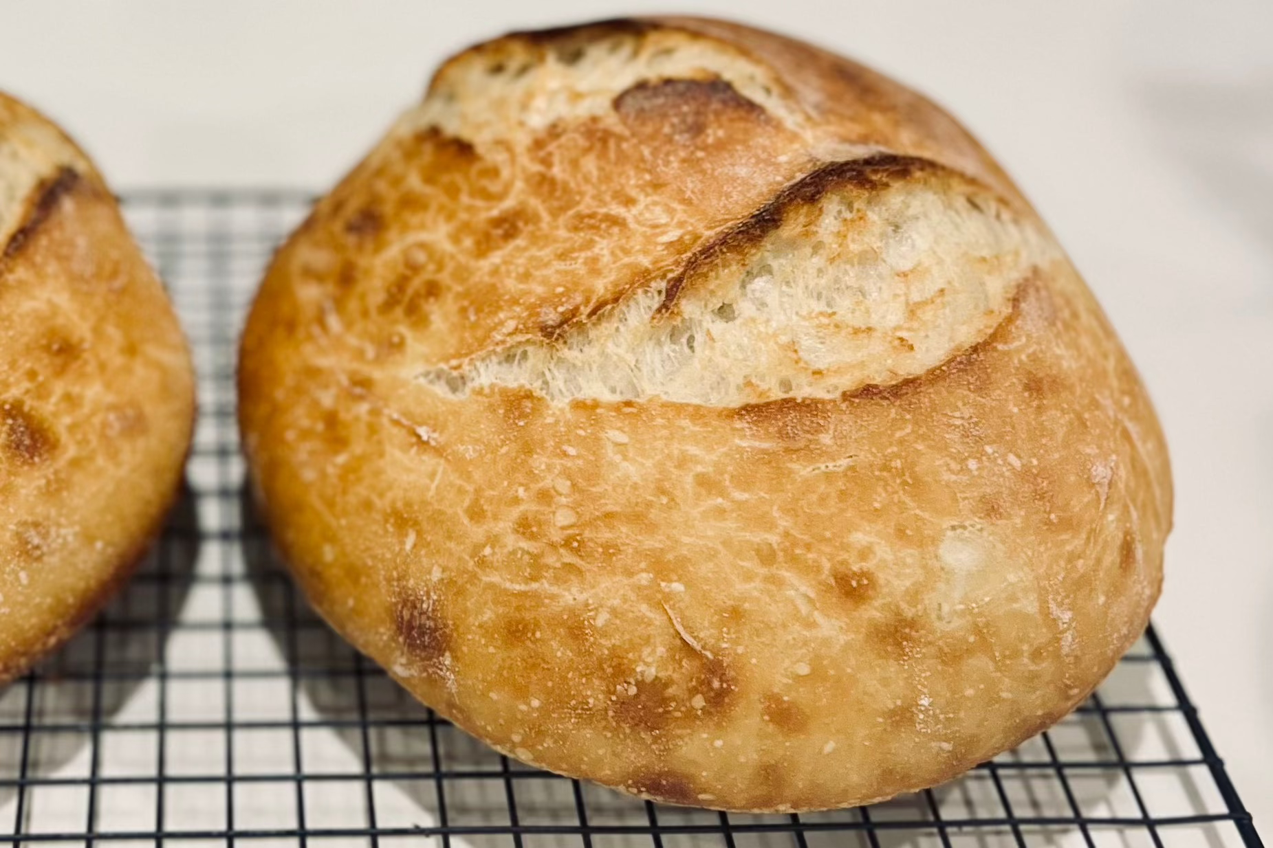 Sourdough Bread Pre-order - PLAIN LOAF    ***Does Not Ship***